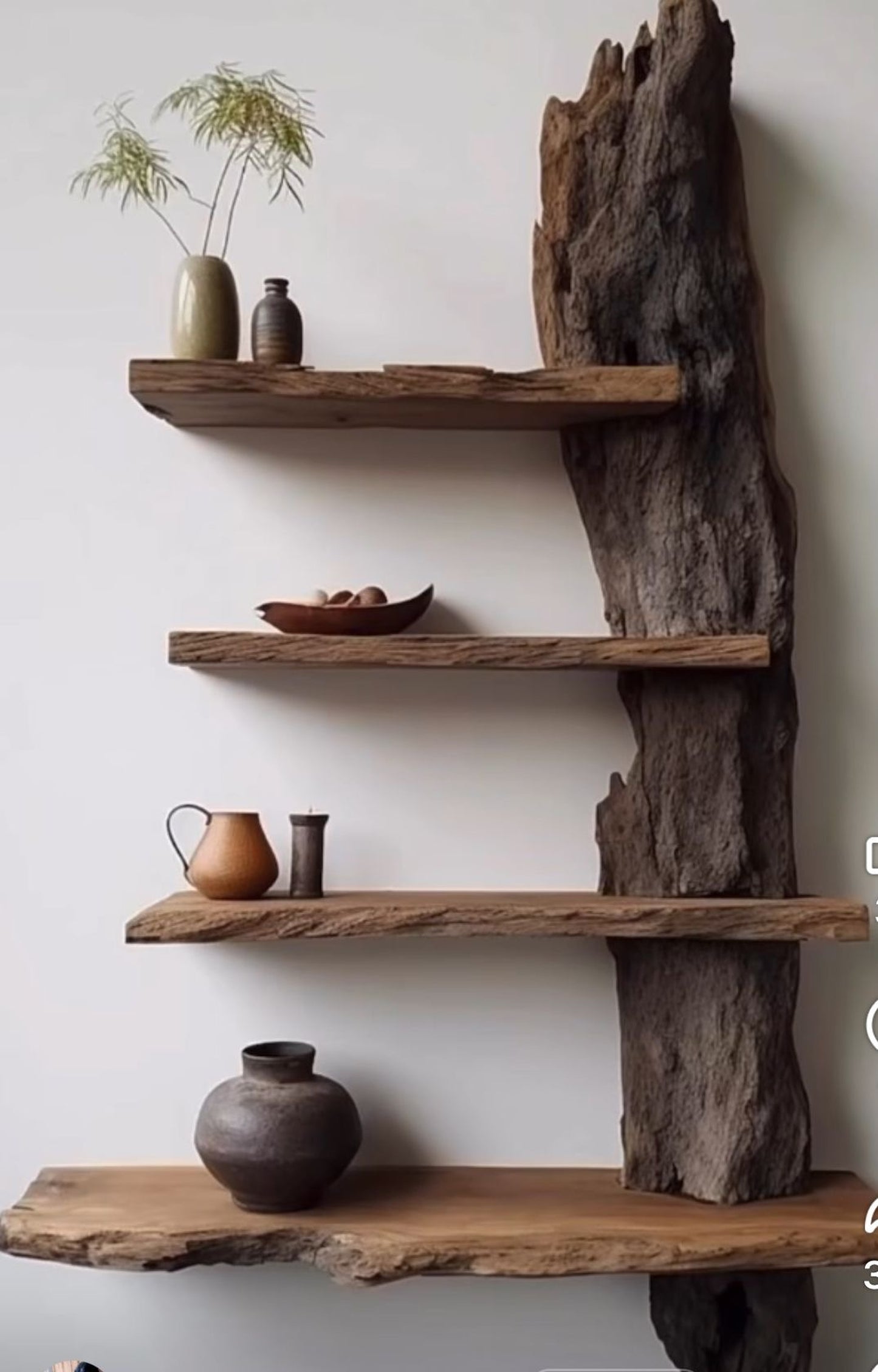 Rustic Nature Wall Shelf – Natural Edge Wood Display